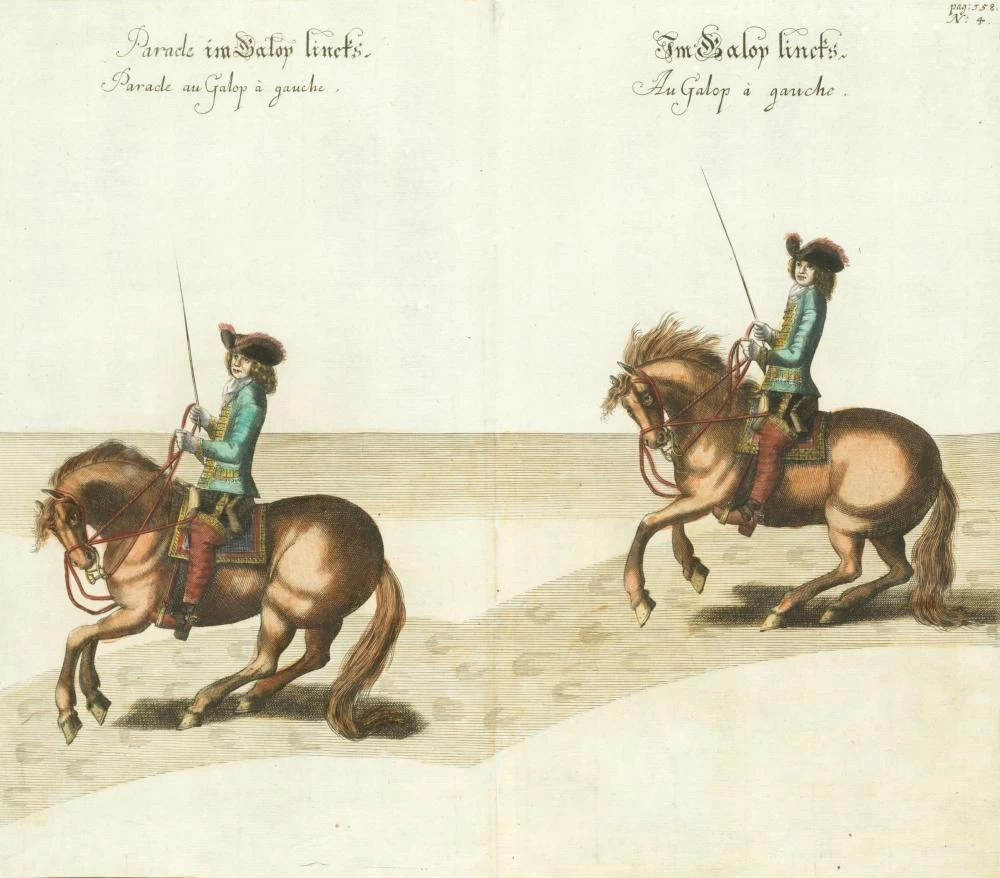 Il metodo e la nuova invenzione dei cavalli da dressage, di William Cavendish